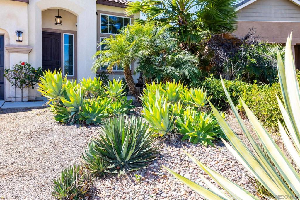26659 Cactus Creek Way Property Photo 39