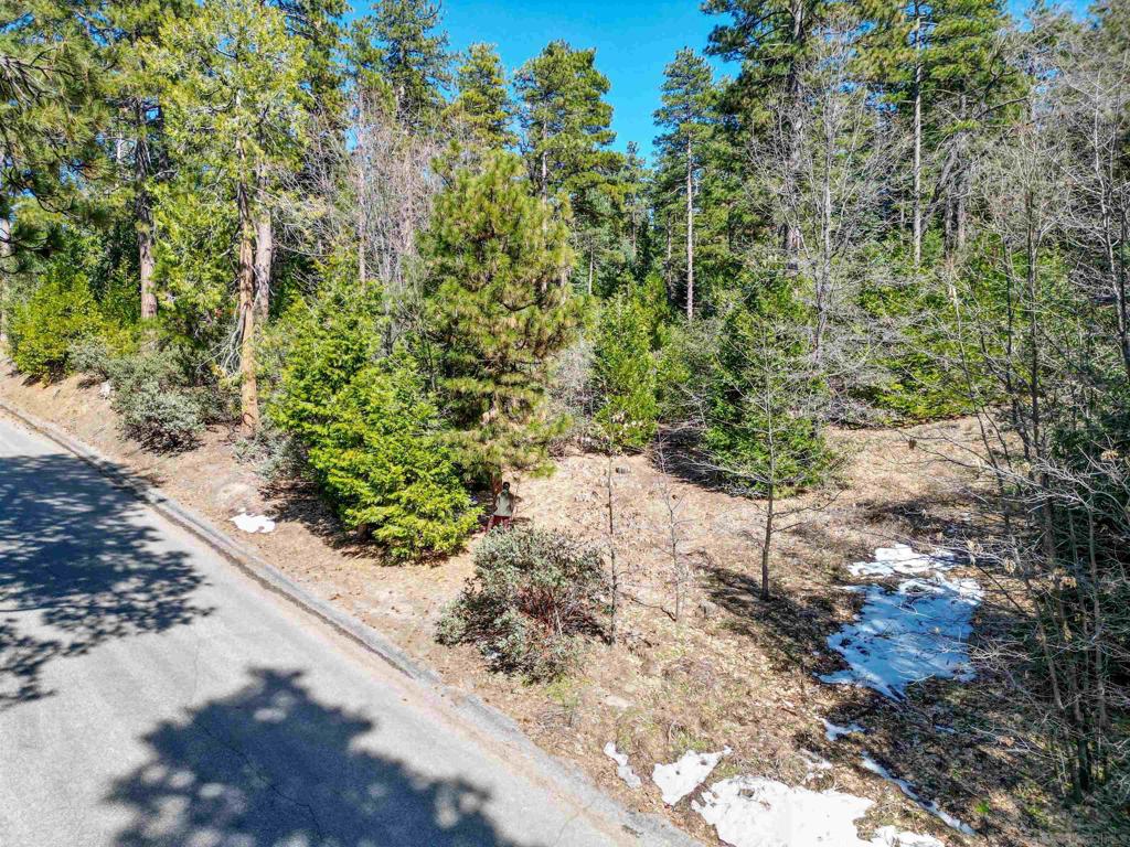 0 Laurel Trail Lot Property Photo 1