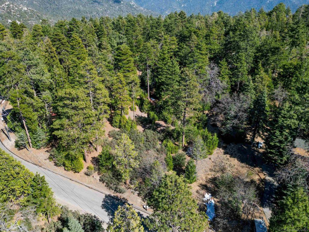 0 Laurel Trail Lot Property Photo 2