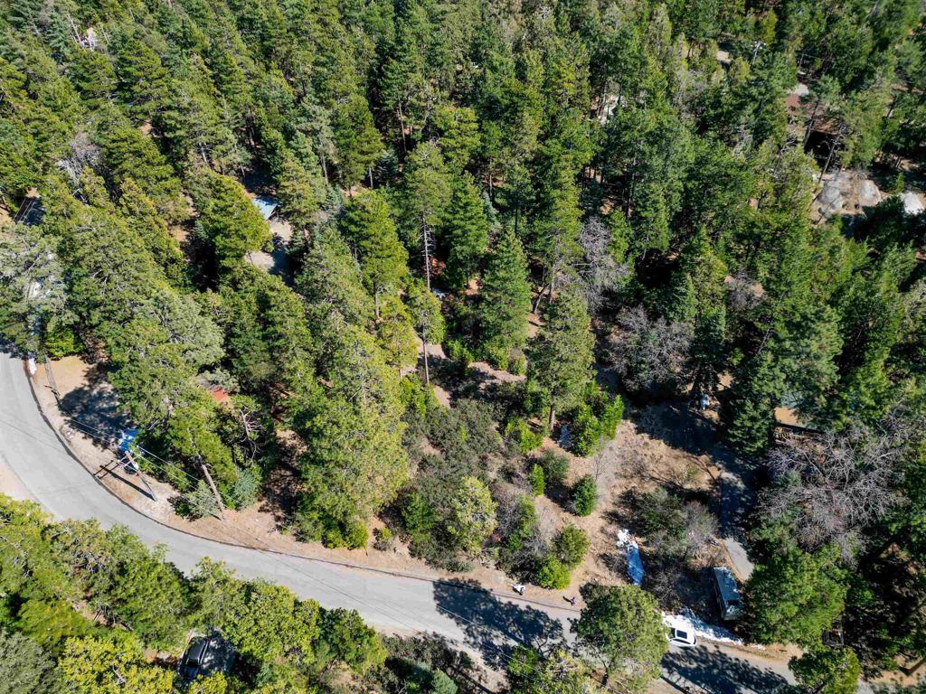 0 Laurel Trail Lot Property Photo 3