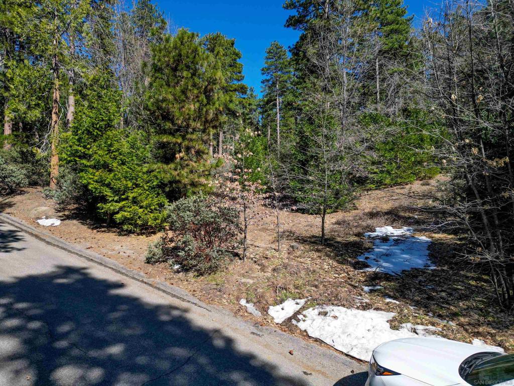 0 Laurel Trail Lot Property Photo 7