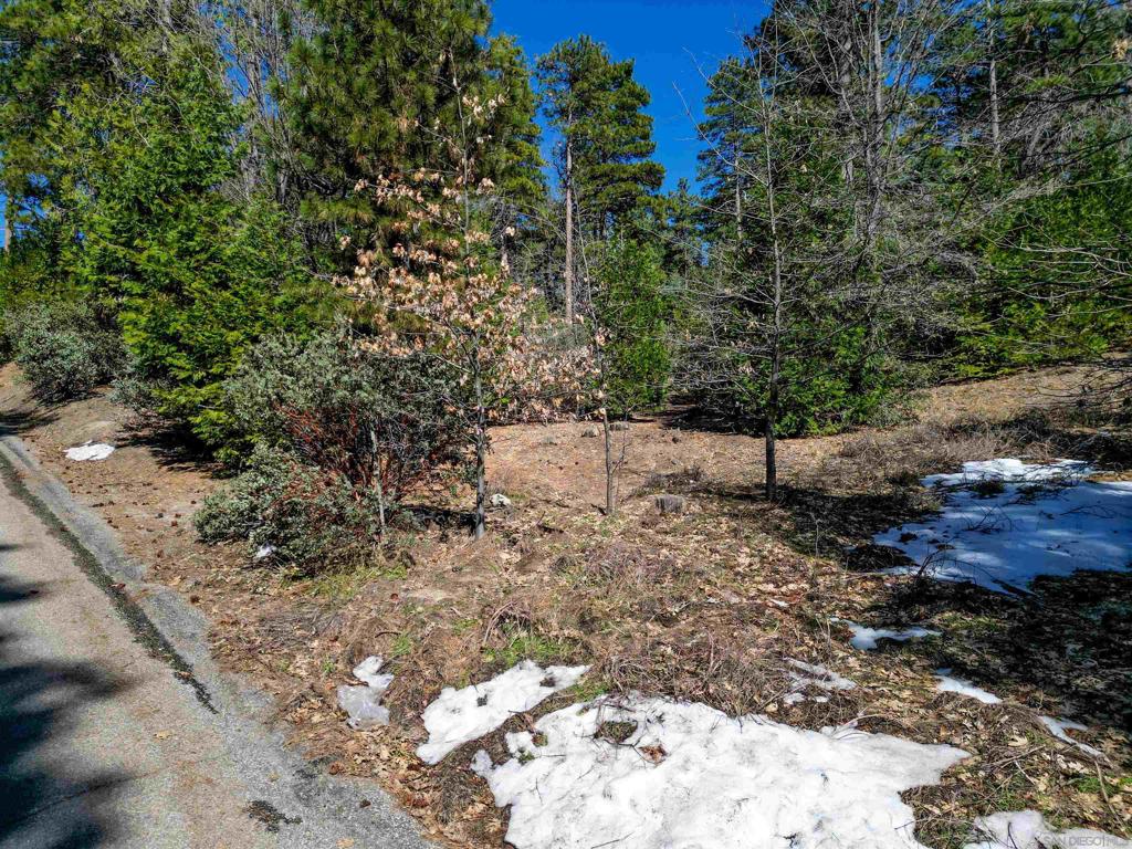 0 Laurel Trail Lot Property Photo 8