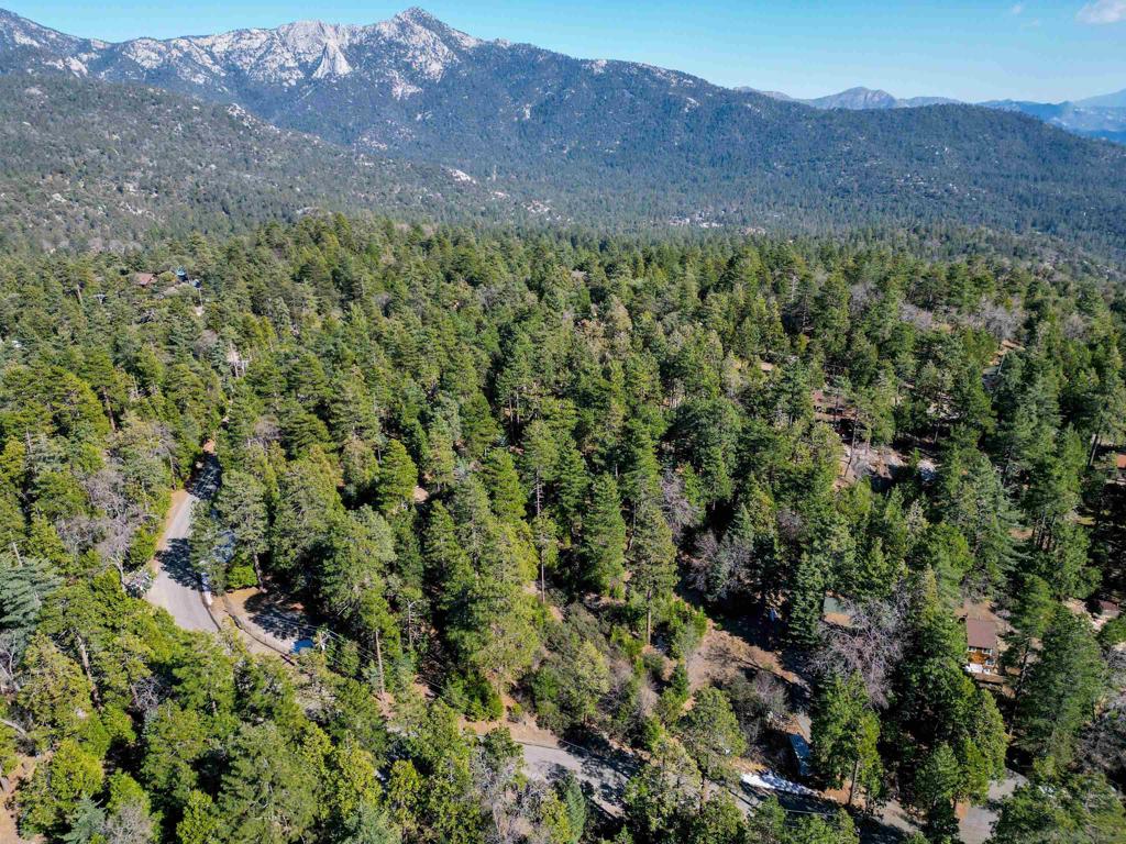 0 Laurel Trail Lot Property Photo 11