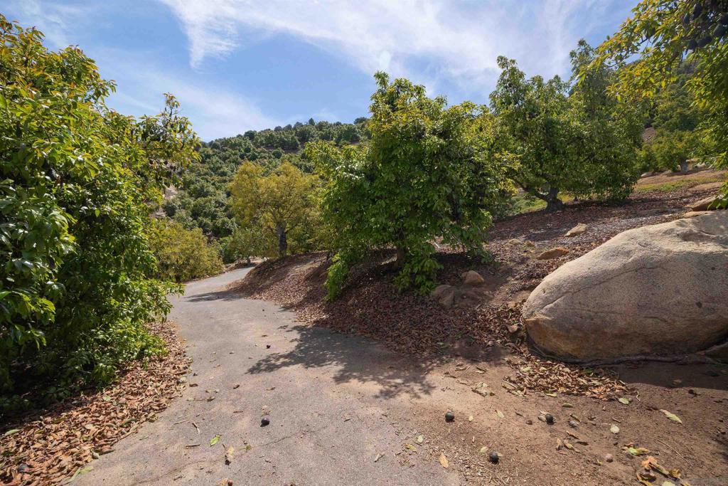 30591 Luis Rey Heights Rd Property Photo 2