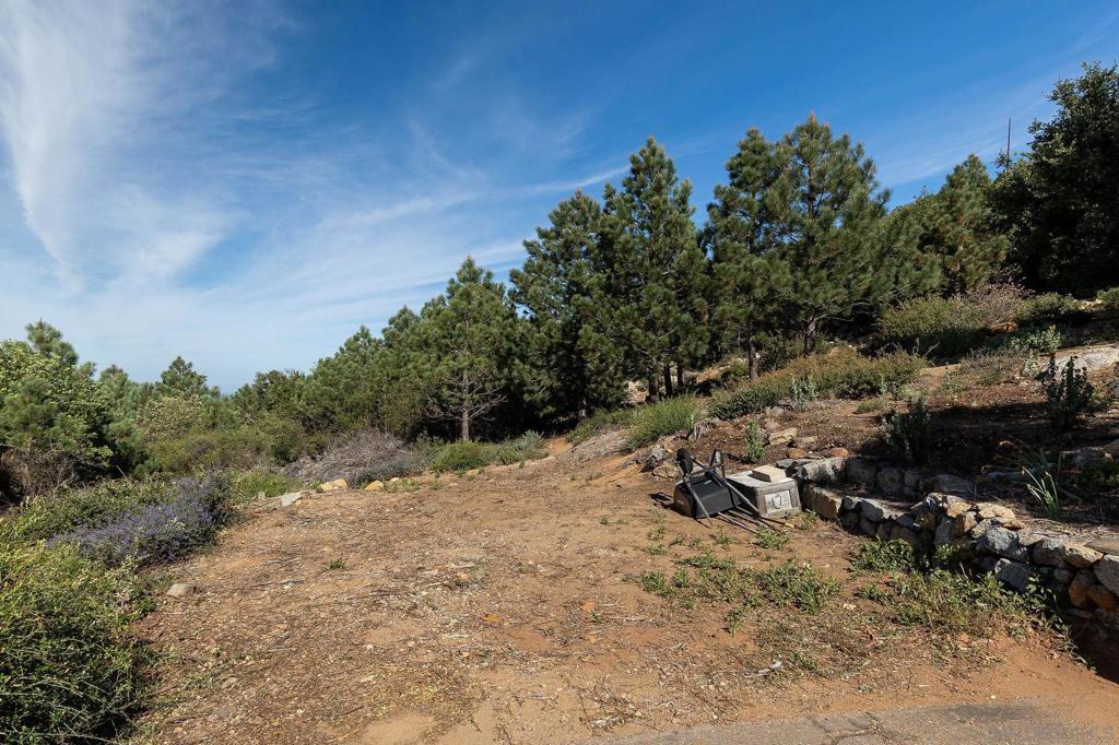 15962 North Peak Rd. Property Photo 5