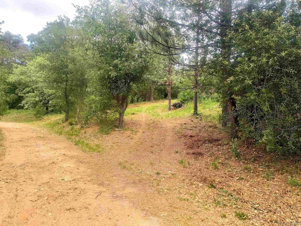 0 Smokey Lane Property Photo 1