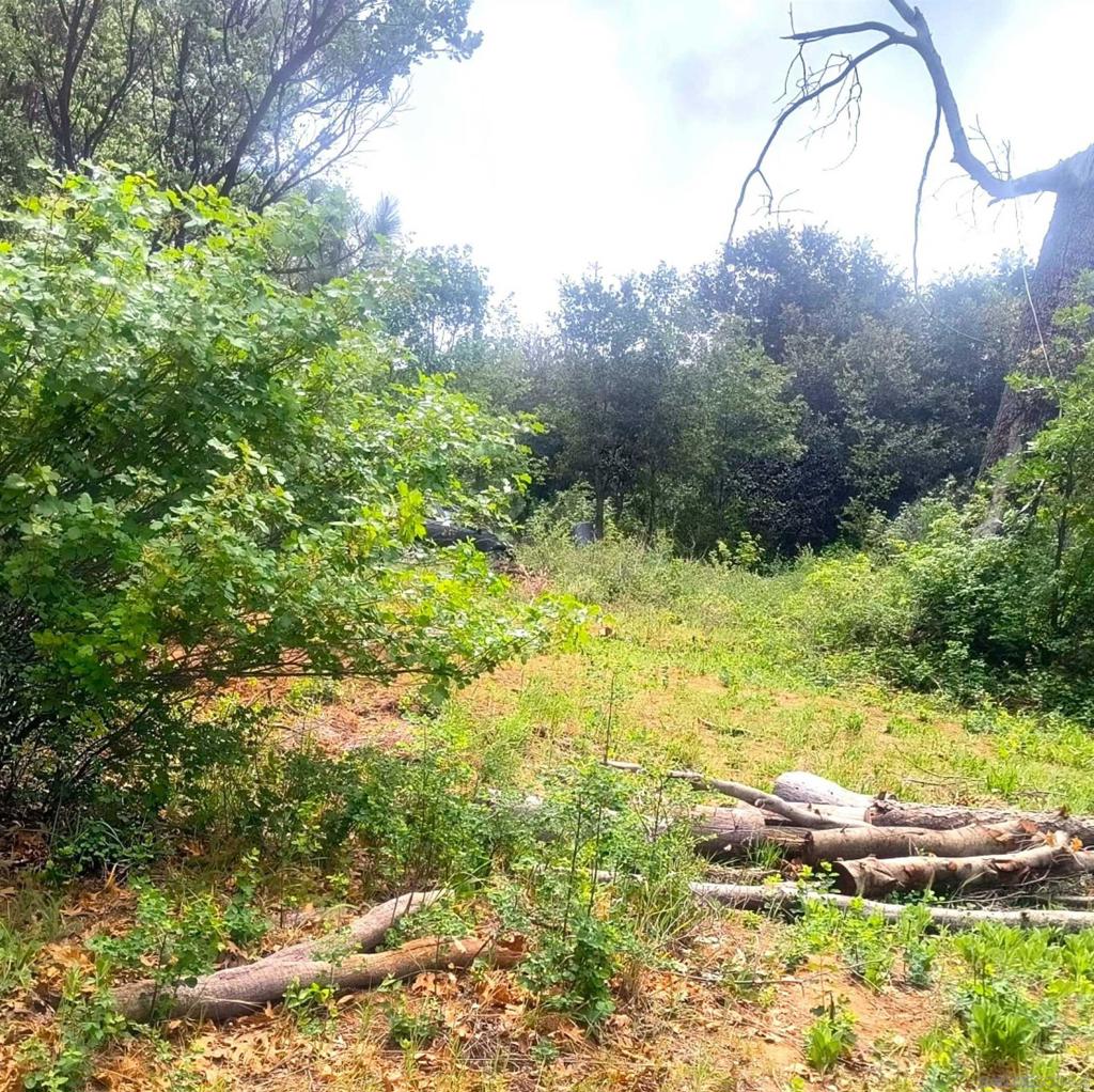 0 Smokey Lane Property Photo 2