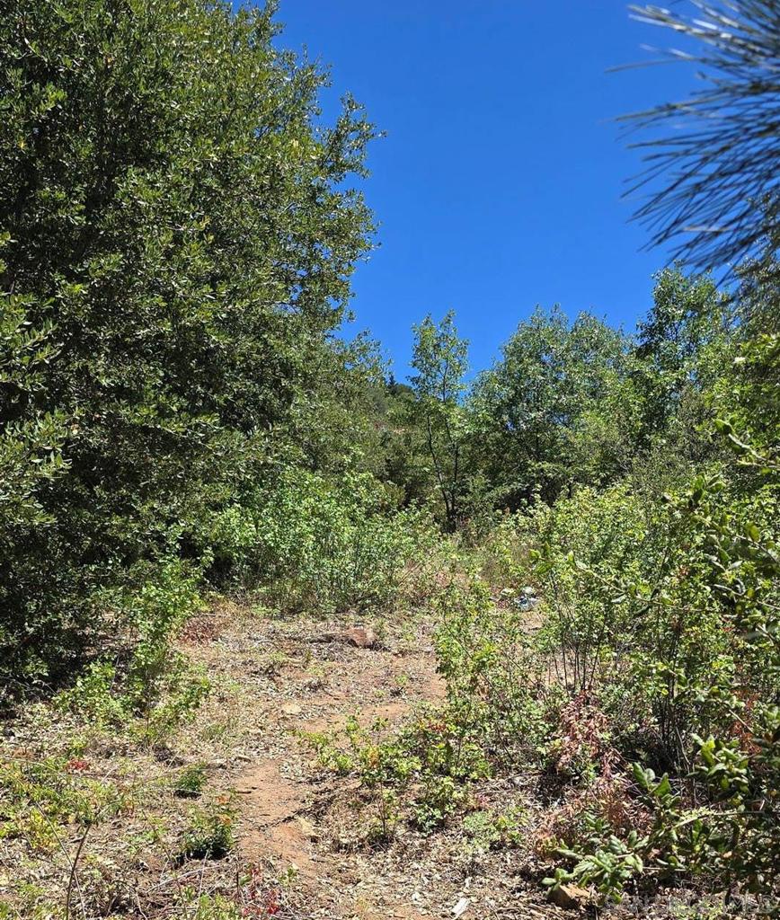 0 Smokey Lane Property Photo 4