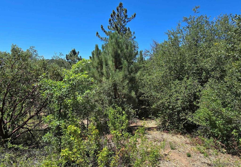 0 Smokey Lane Property Photo 6