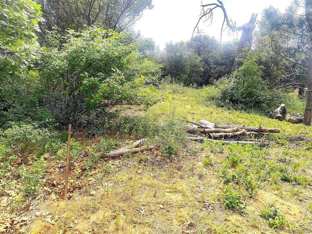 0 Smokey Lane Property Photo 7