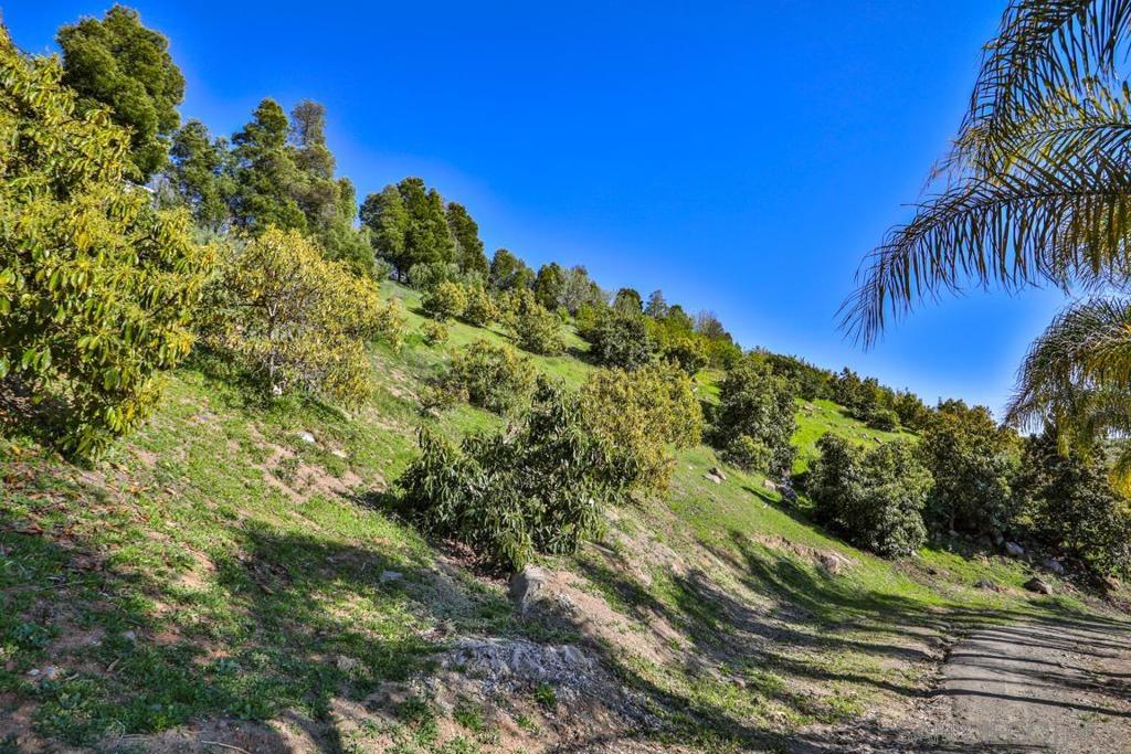 44945 Palladian Ct Property Photo 9