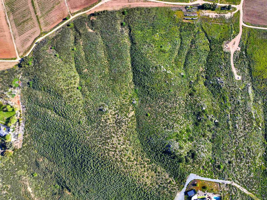 Sierra Linda Dr Property Photo 4