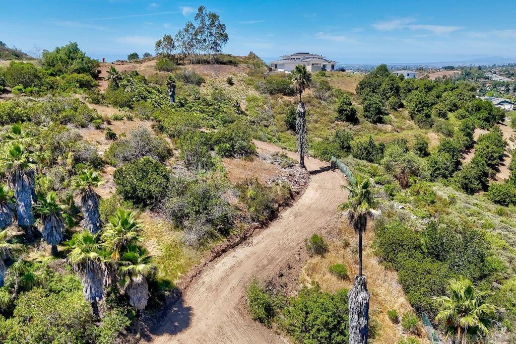 0 Buena Creek Rd Property Photo 8