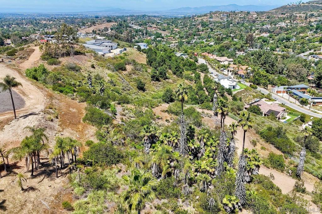 0 Buena Creek Rd Property Photo 11