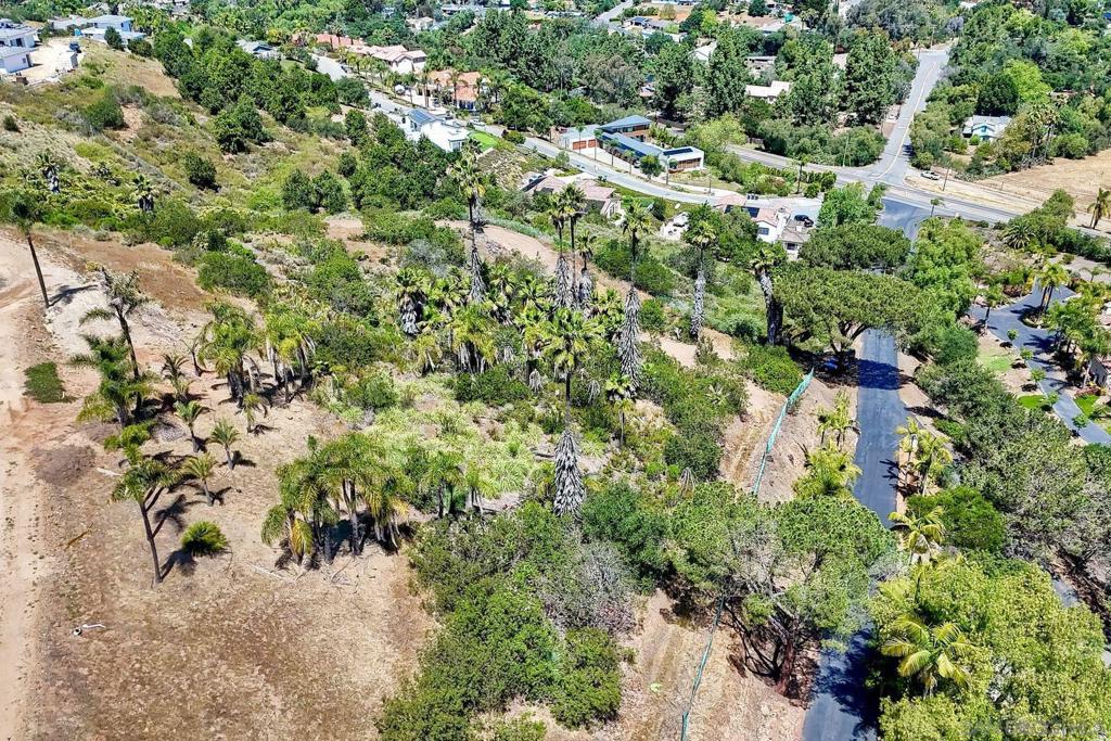0 Buena Creek Rd Property Photo 12