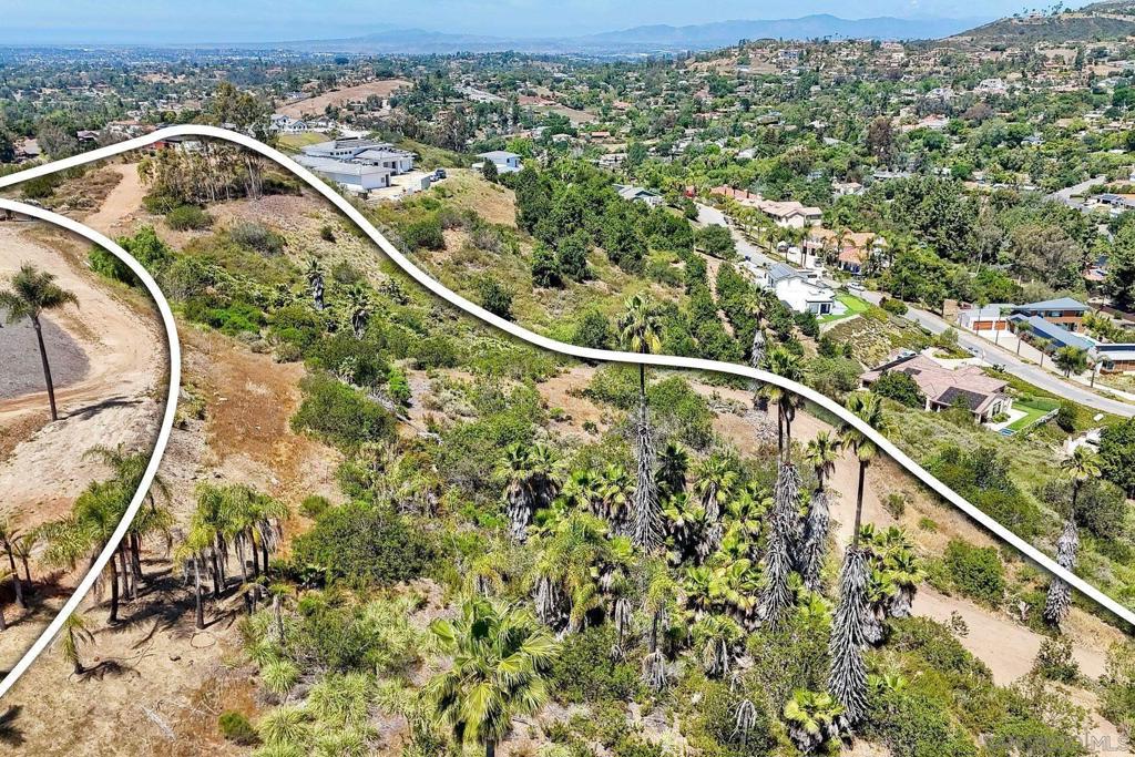 0 Buena Creek Rd Property Photo 19