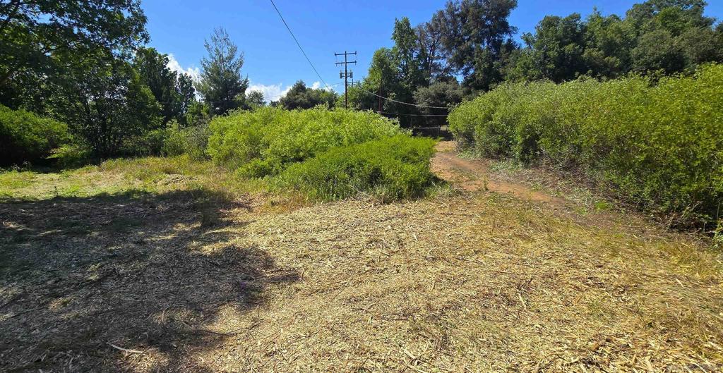 38 Creek Rd. Property Photo 1