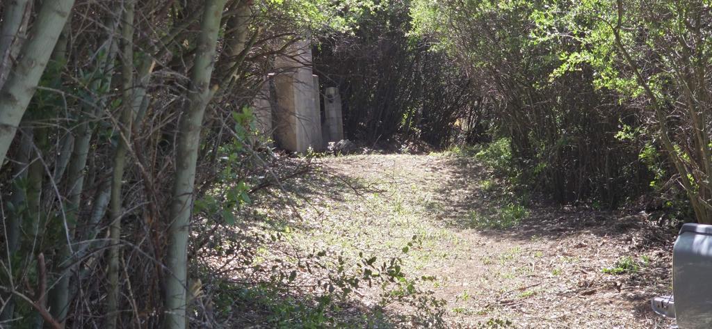38 Creek Rd. Property Photo 5