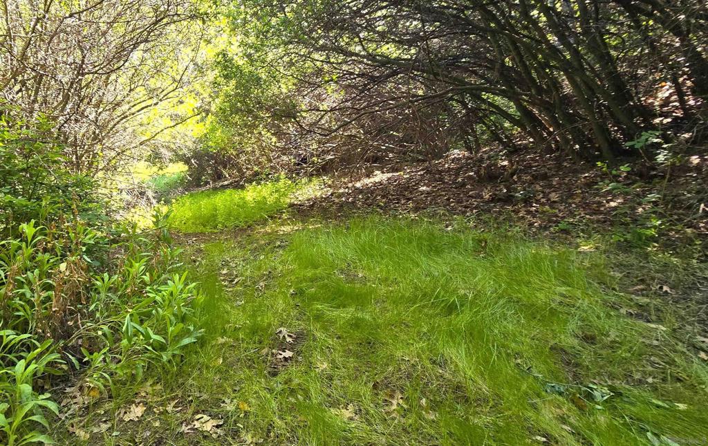 38 Creek Rd. Property Photo 10