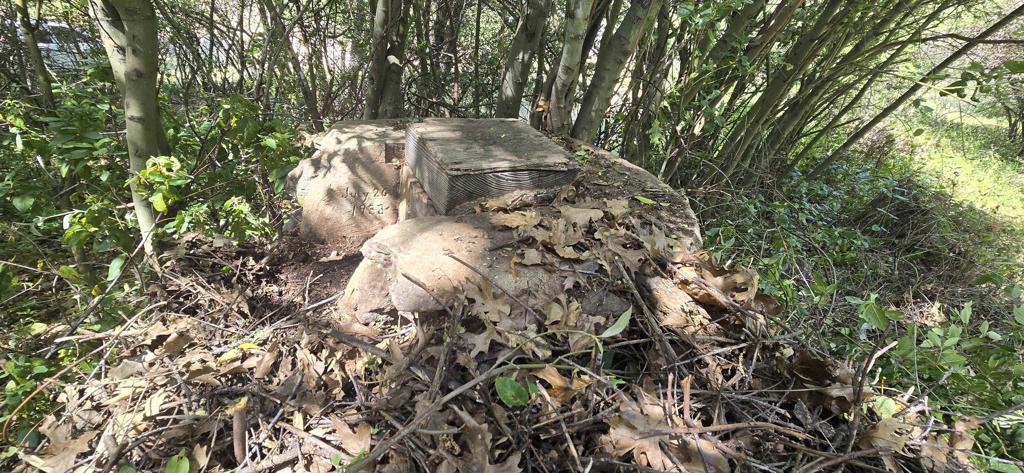 38 Creek Rd. Property Photo 12
