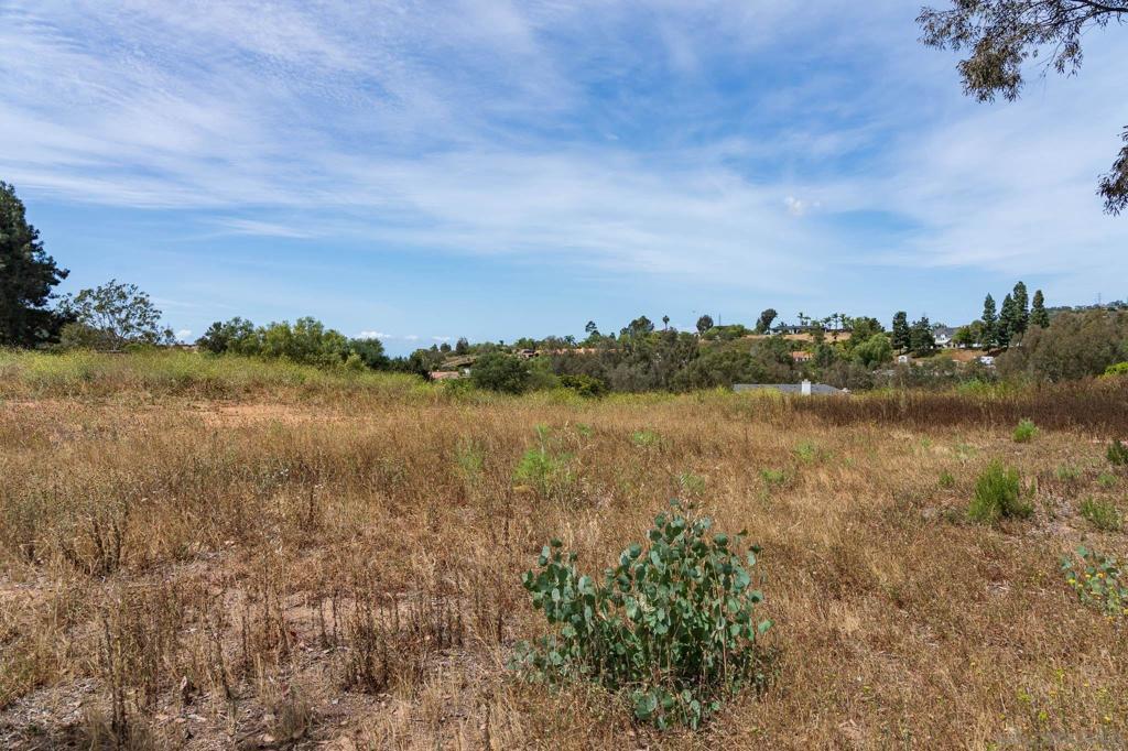 20236 Fortuna Del Este Property Photo 6