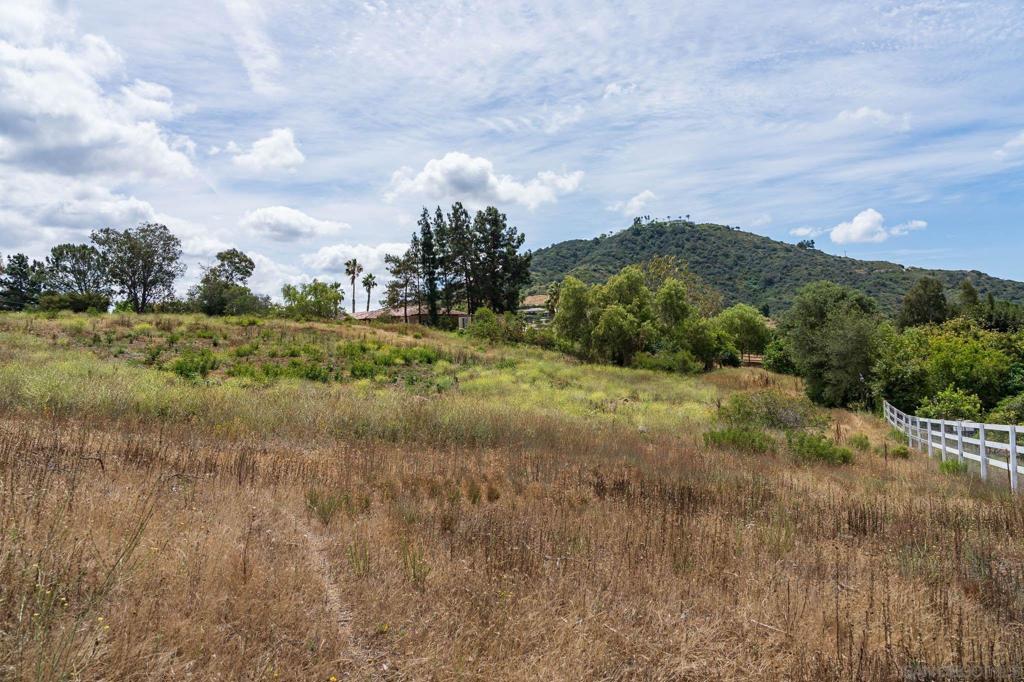 20236 Fortuna Del Este Property Photo 7