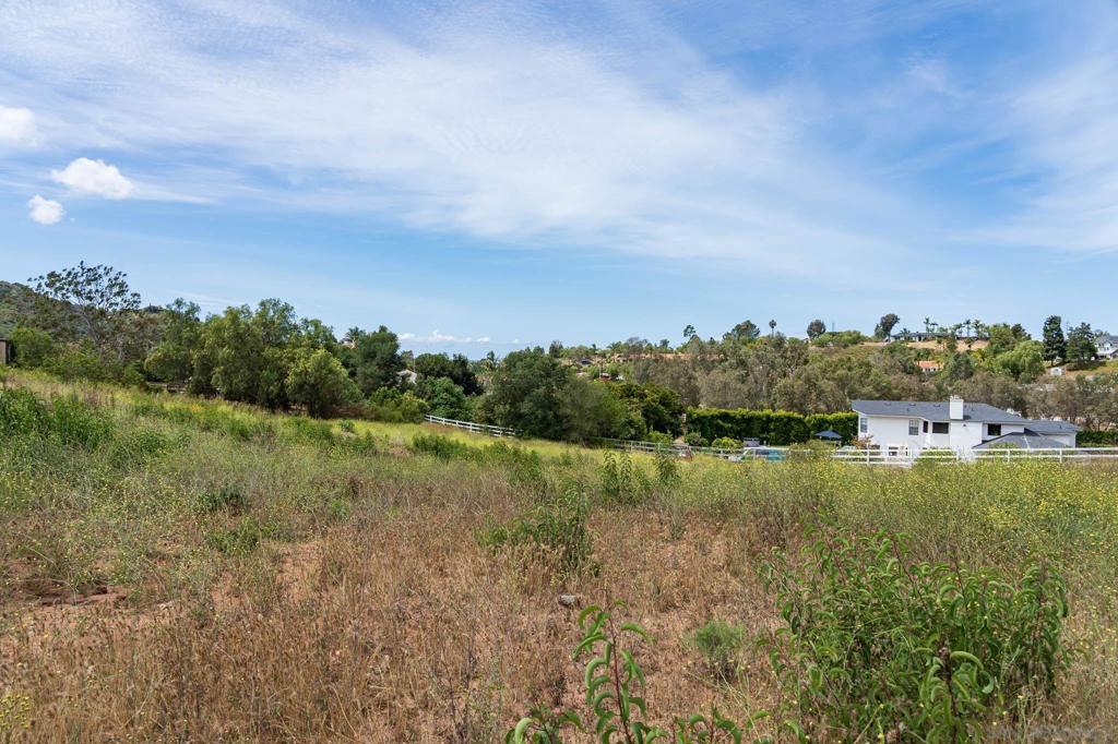 20236 Fortuna Del Este Property Photo 8