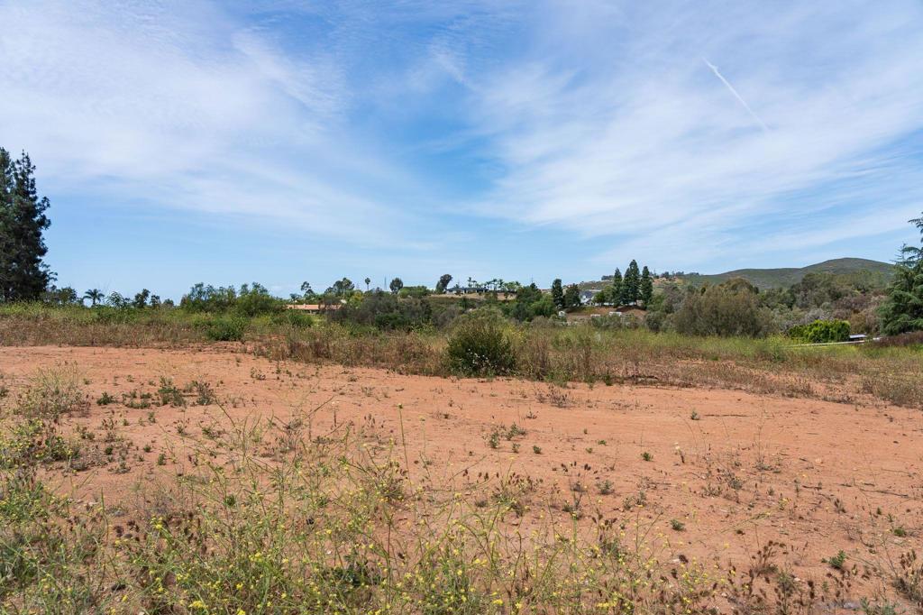 20236 Fortuna Del Este Property Photo 9