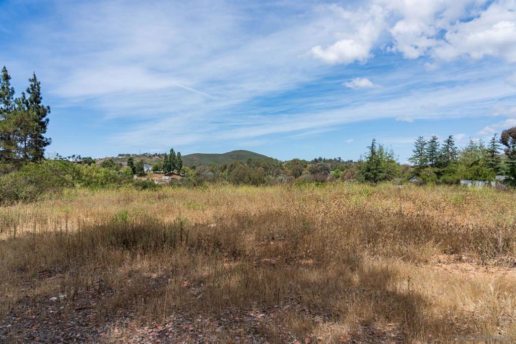 20236 Fortuna Del Este Property Photo 10