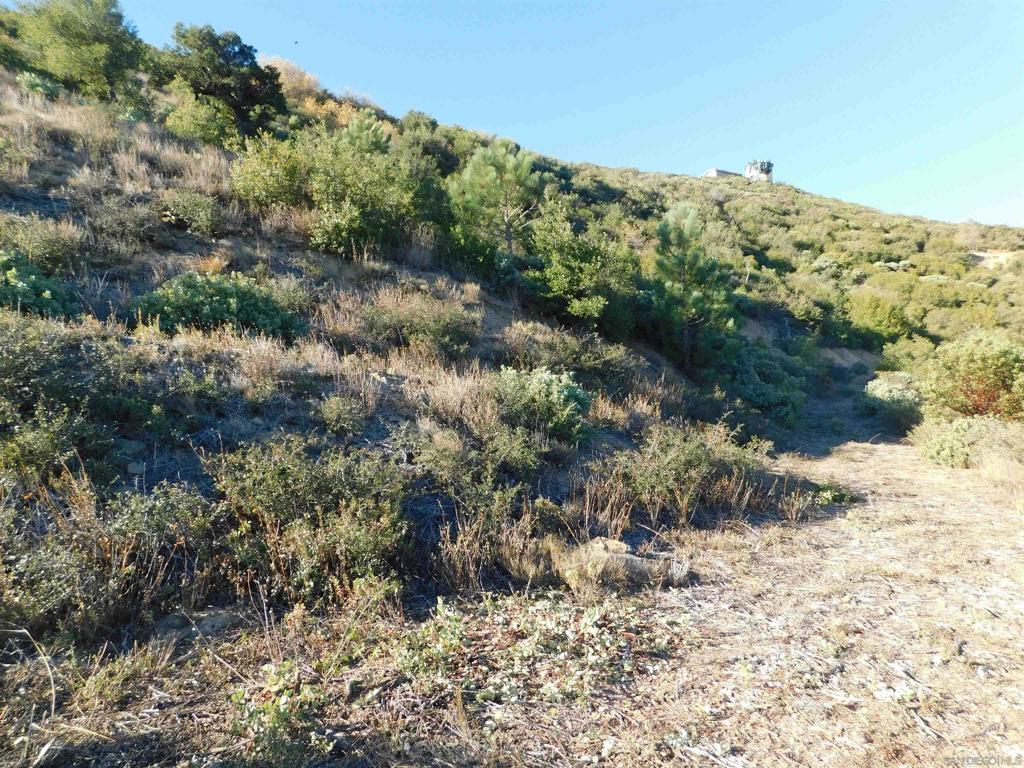 1 Mountain View Property Photo 6