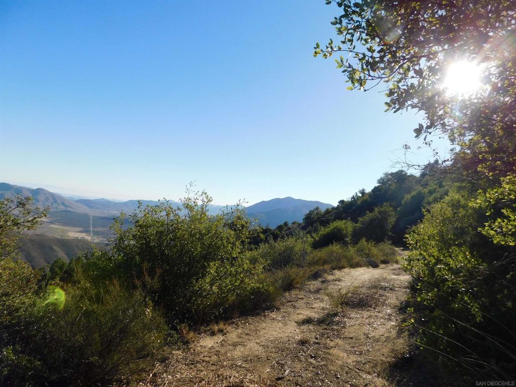 1 Mountain View Property Photo 9
