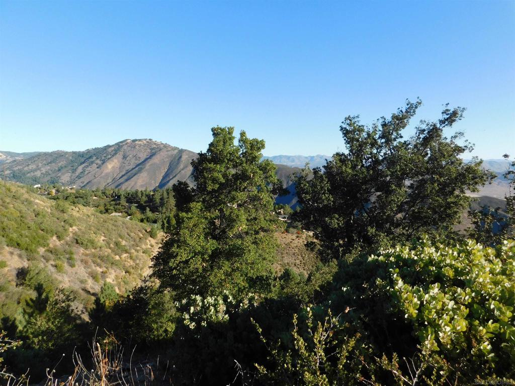 1 Mountain View Property Photo 10