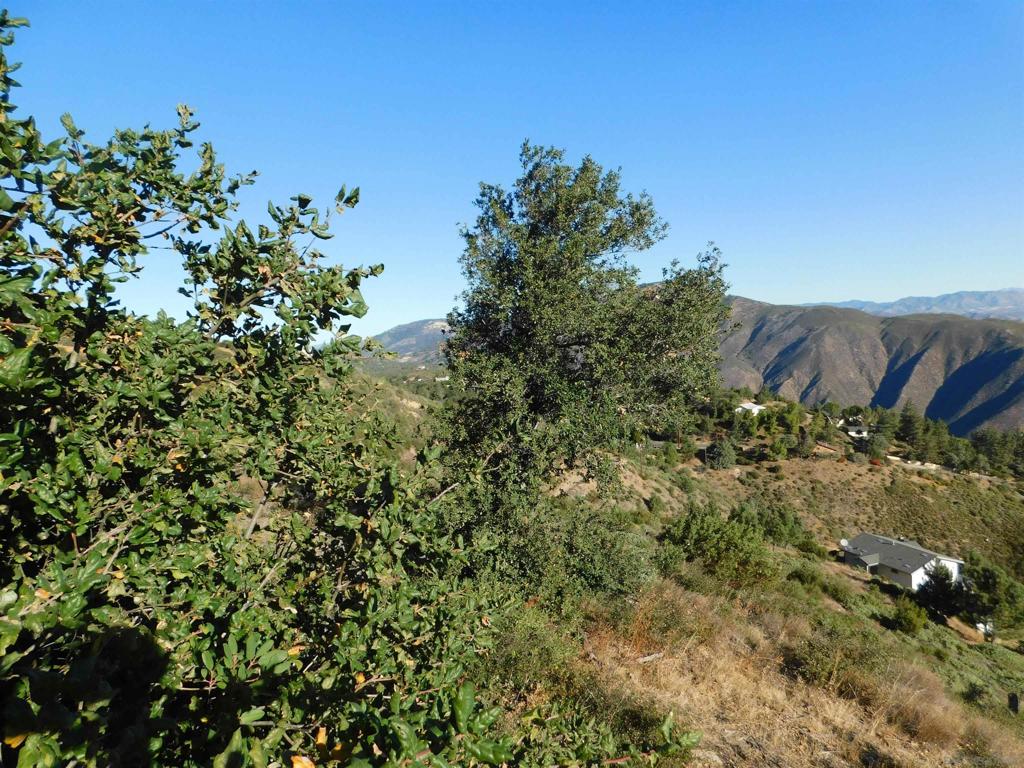1 Mountain View Property Photo 11