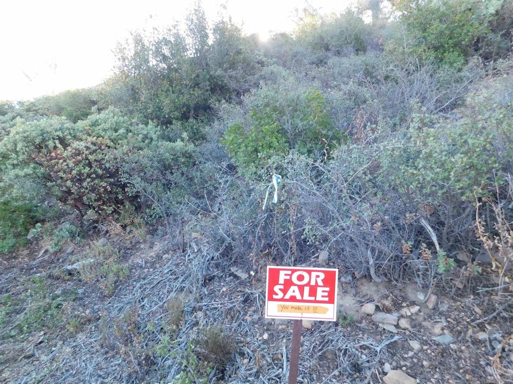 1 Mountain View Property Photo 13