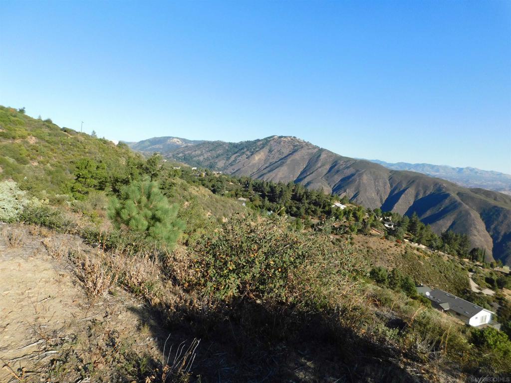 1 Mountain View Property Photo 16