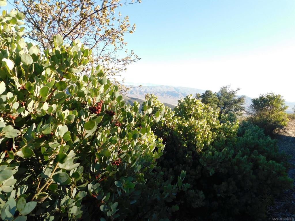 1 Mountain View Property Photo 18