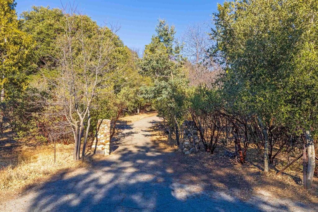 5298 Pine Hills Rd. Property Photo 1