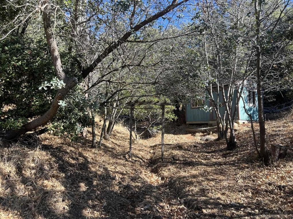 5298 Pine Hills Rd. Property Photo 7
