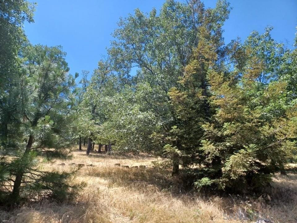 4129 Eagle Peak Property Photo 29