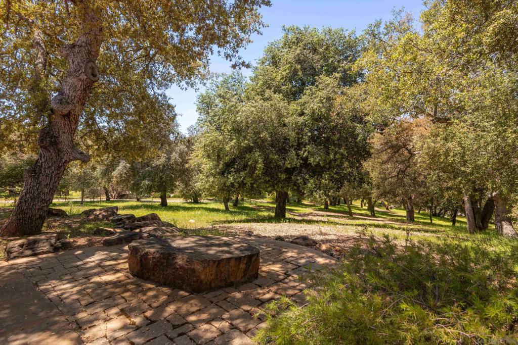23835 Viejas Grade Property Photo 59