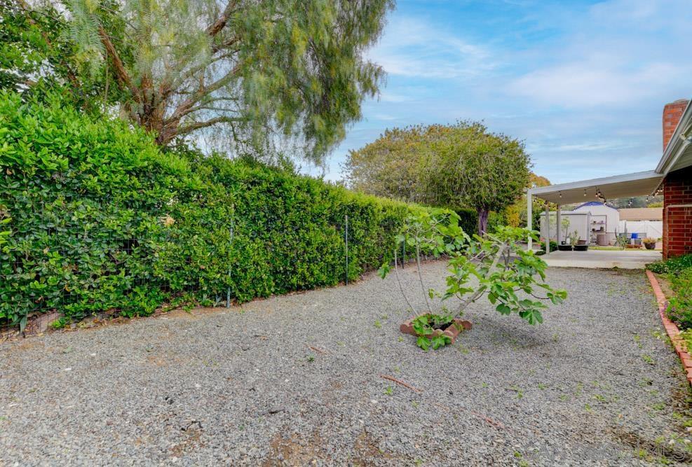 12415 Horado Road Property Photo 15