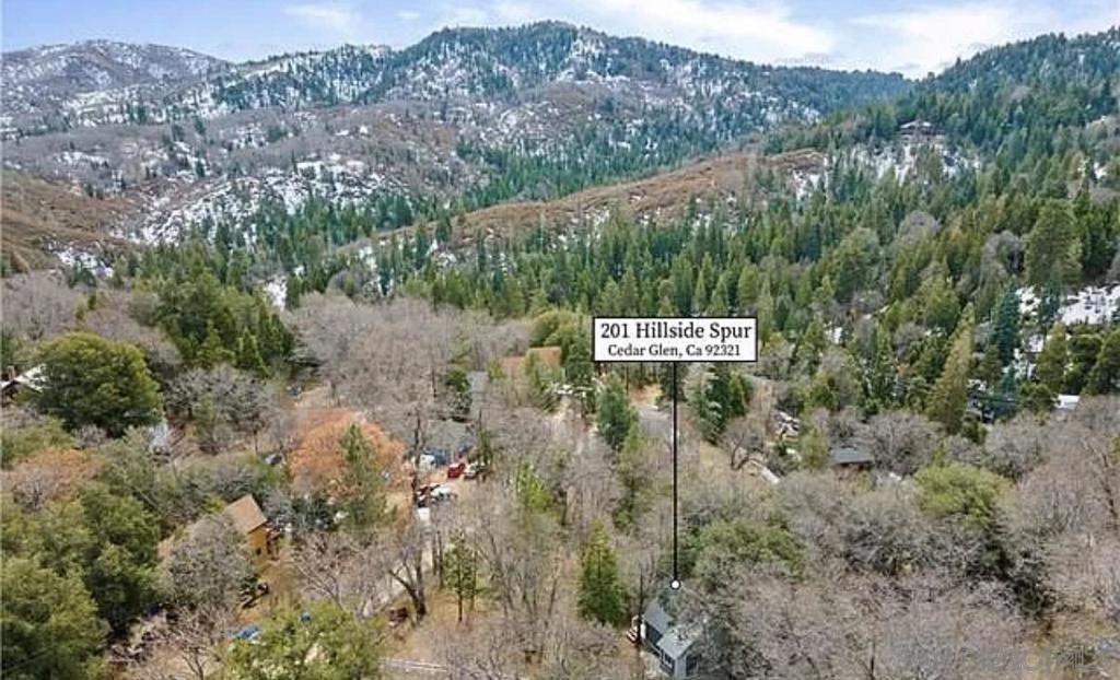 201 Hillside Spur Property Photo 11