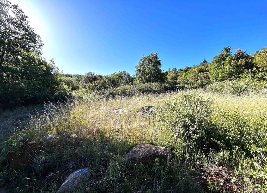 Oak Way Property Photo 2