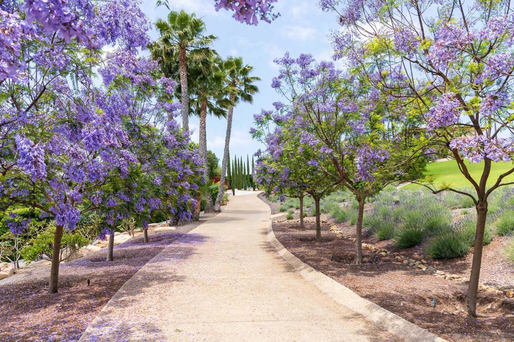 18245 Paseo Victoria Property Photo 7