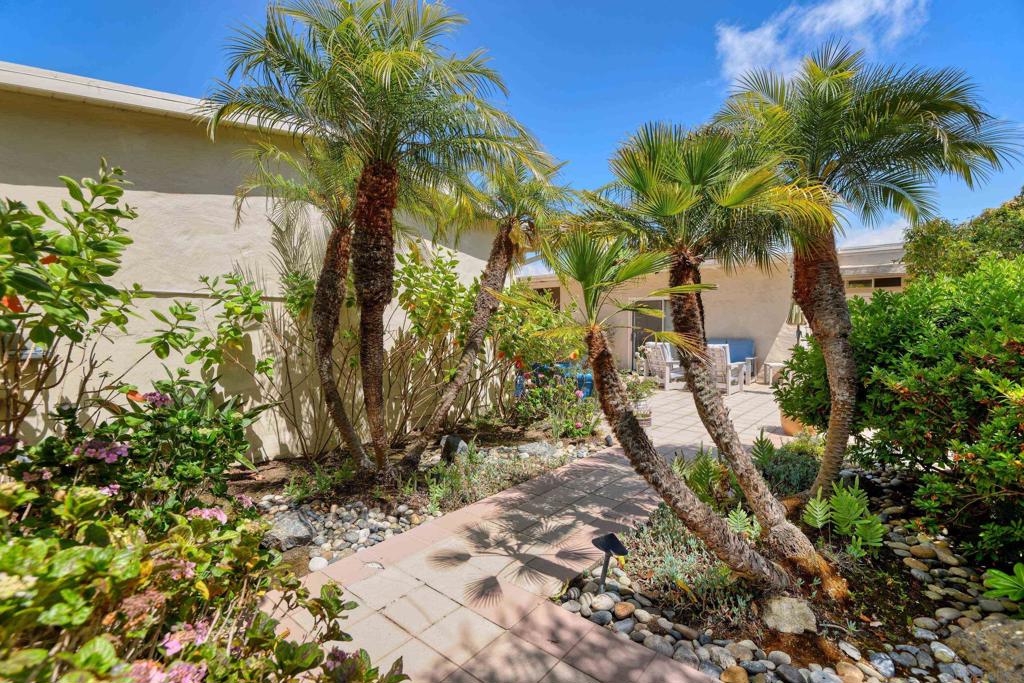 7231 Rue Michael Property Photo 18