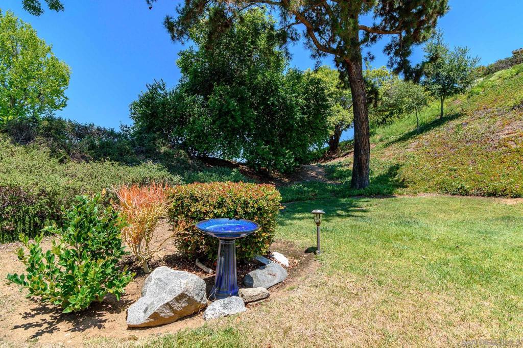 16657 Roca Dr Property Photo 34