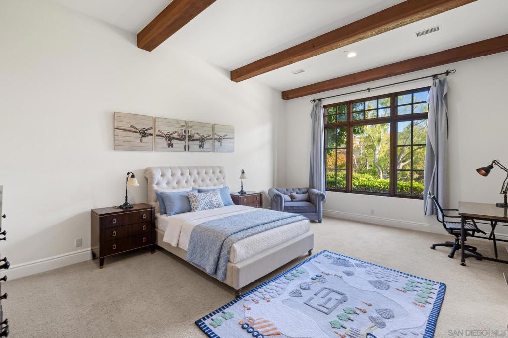 4690 Rancho Del Mar Trl Property Photo 25