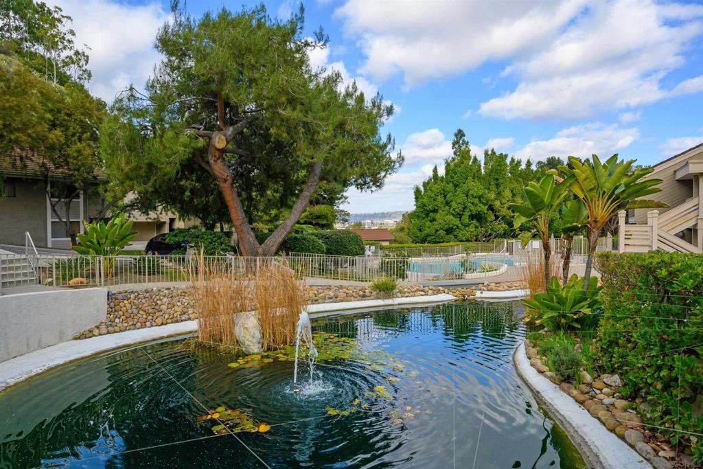 4285 Caminito Pintoresco Property Photo 40