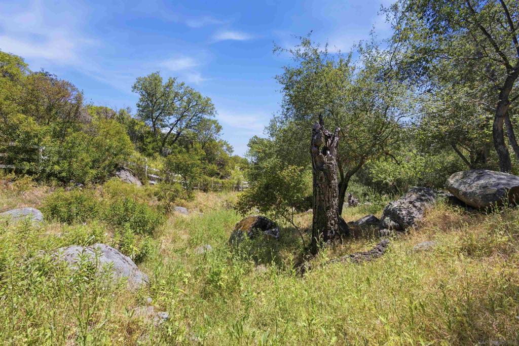 18380 Avenida Caleta Property Photo 45