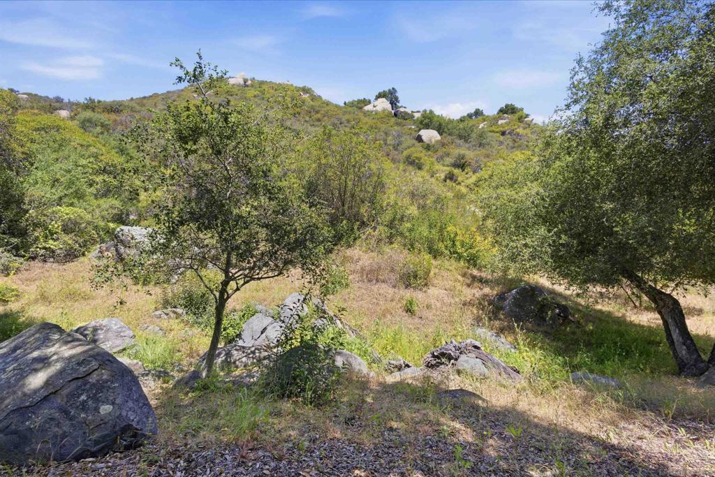 18380 Avenida Caleta Property Photo 46